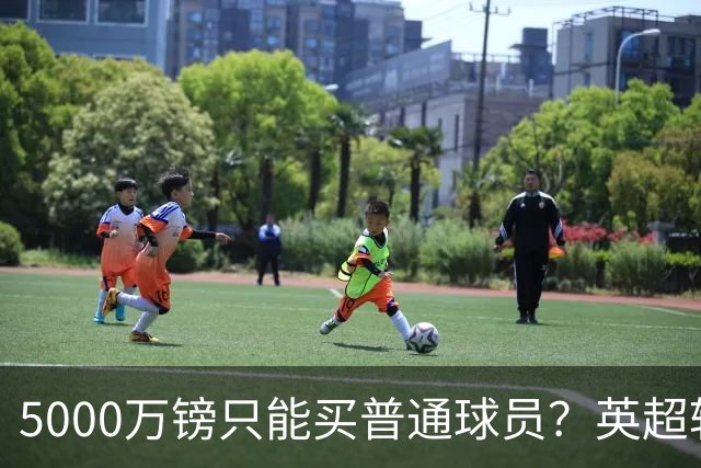 5000万镑只能买普通球员？英超转会市场彻底疯了